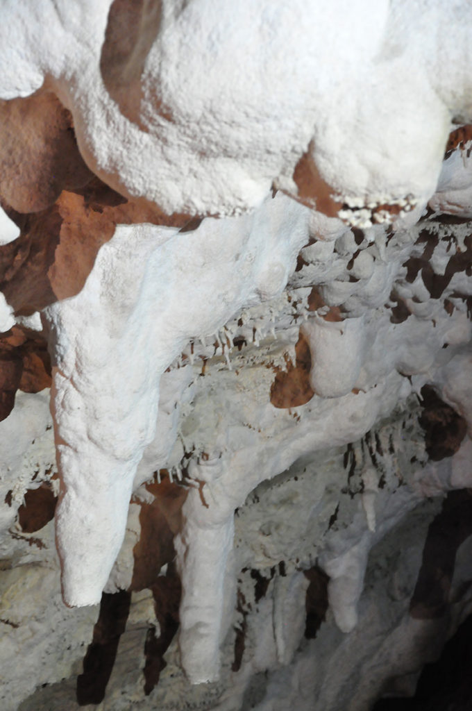 nieuw-zeeland-honeycomb-cave-stalactieten