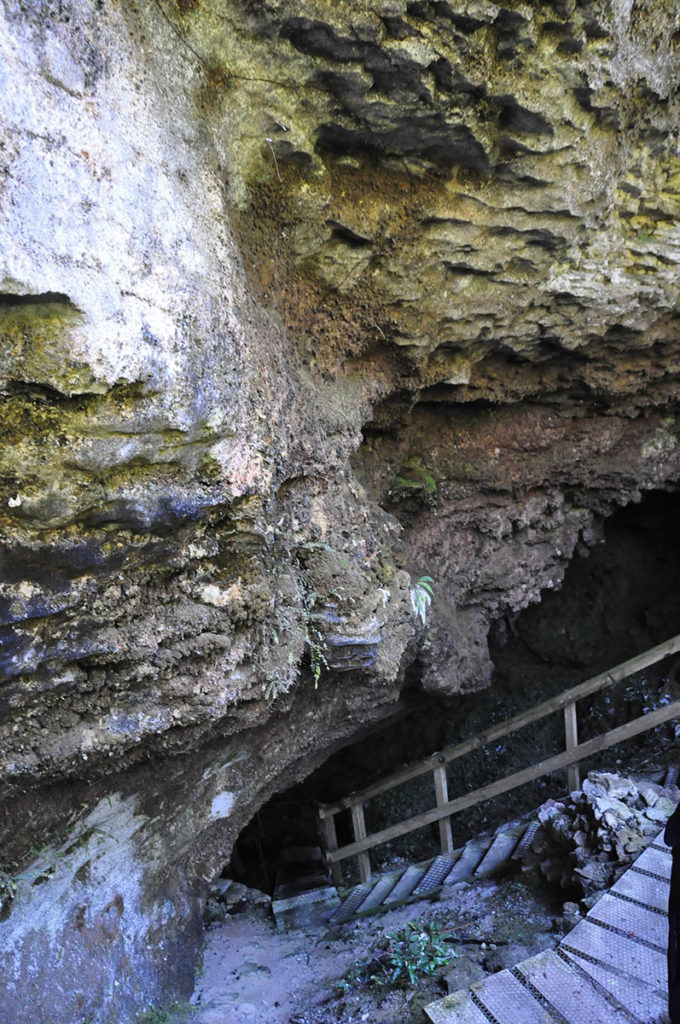 nieuw-zeeland-honeycomb-cave-ingang