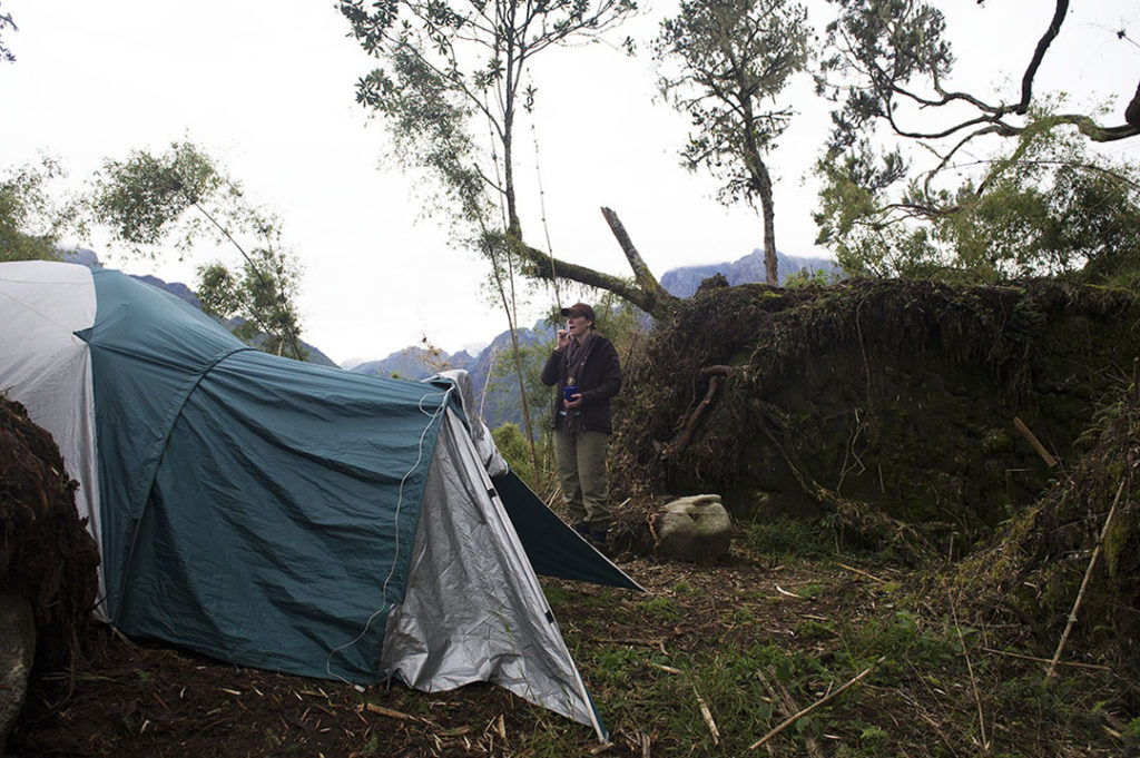 uganda rwenzori camping