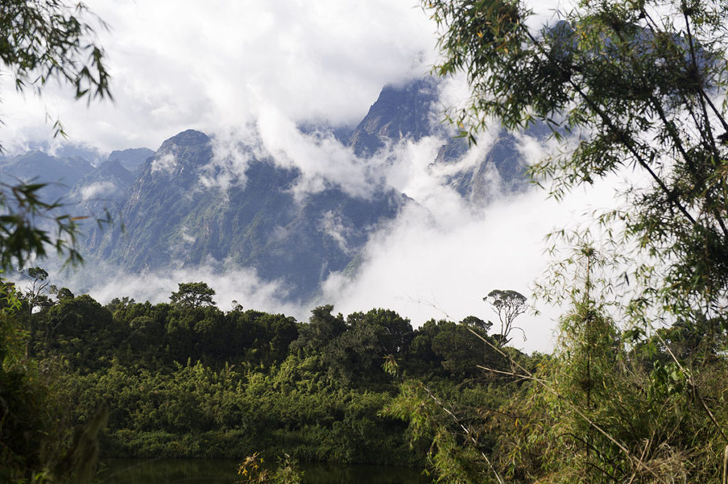 oeganda-rwenzori-uitzicht