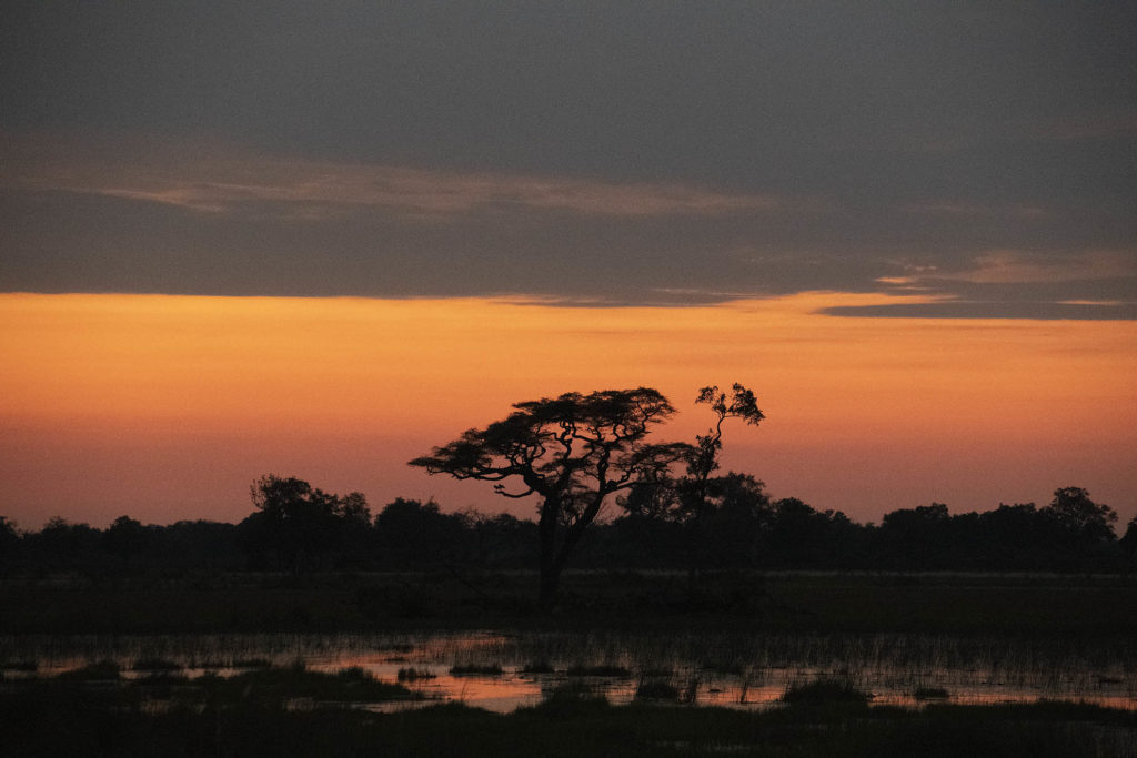 botswana sunset