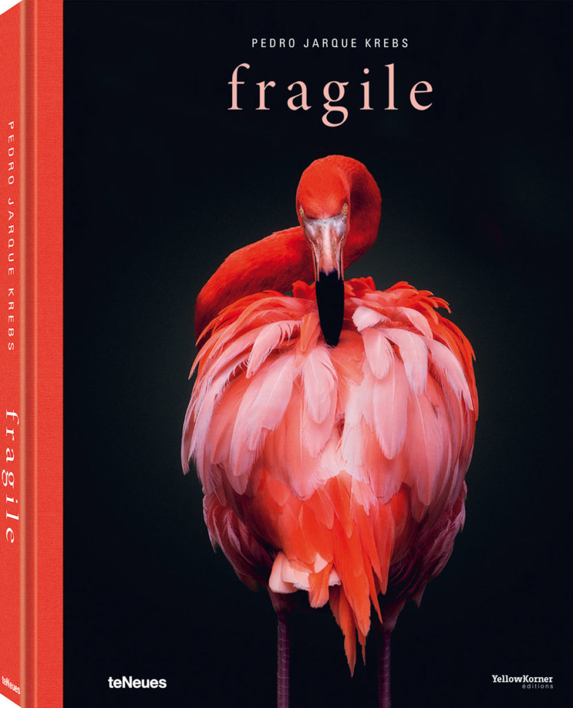 fragile-teneues-pedro-jarque-krebs-cover