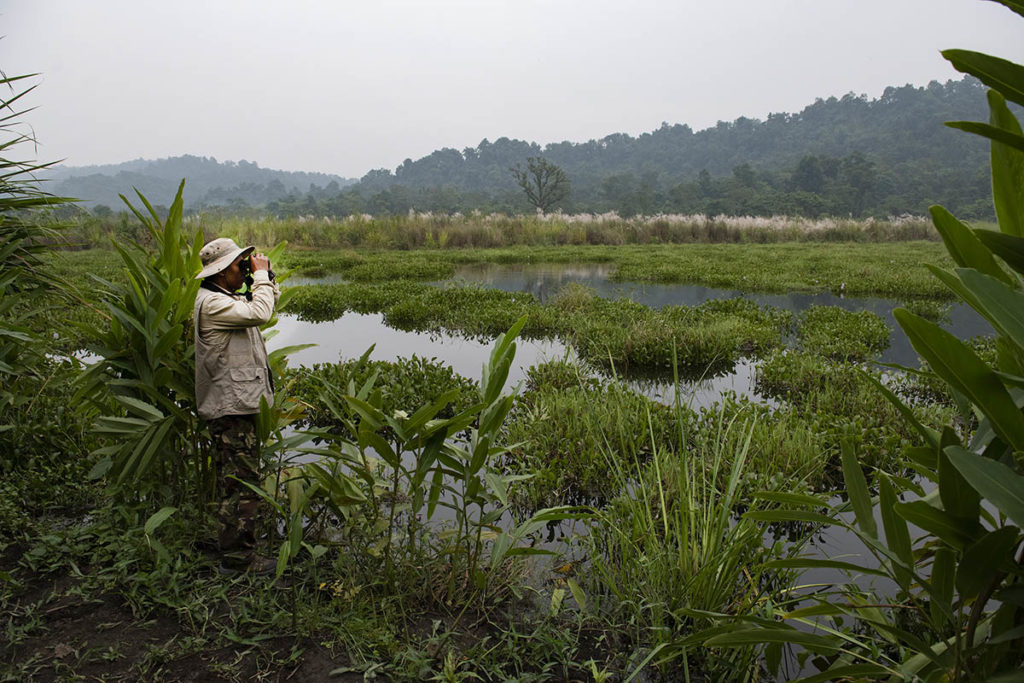 nepal-chitwan-gamedrive