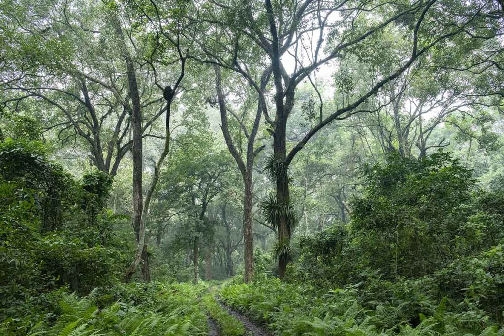 nepal-chitwan-uitzicht