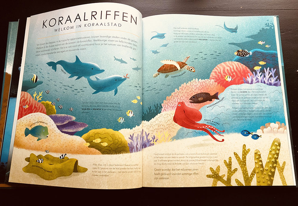 koraalriffen-blauwe-planeet-bbc-lemniscaat