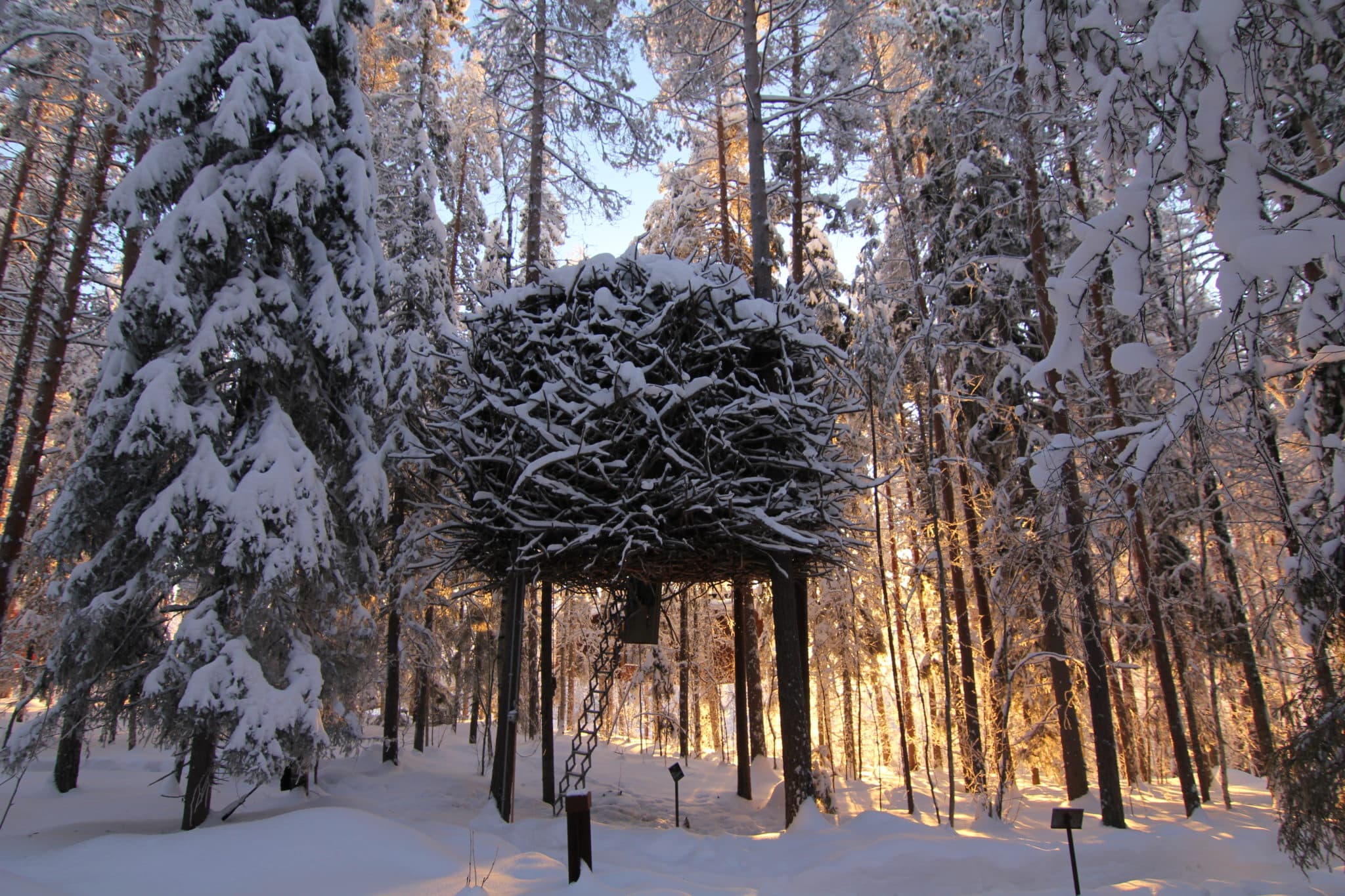 birdsnest-in-de-sneeuw-zweden