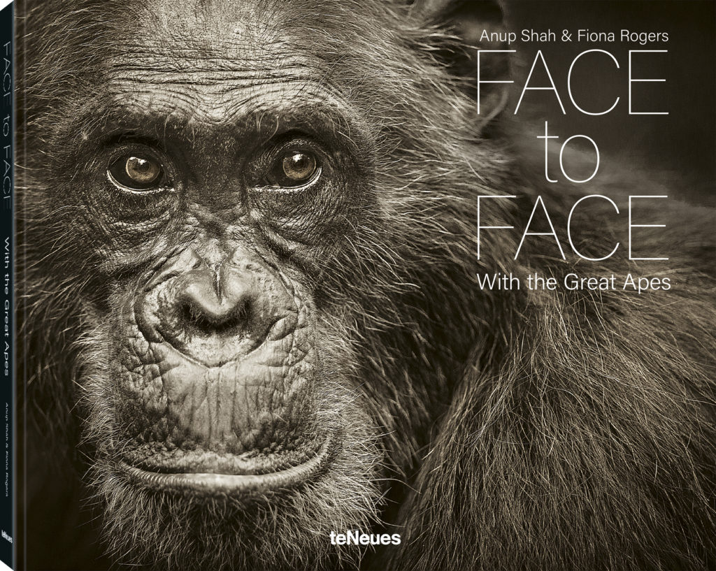 boek-face to face-primaten-teneues