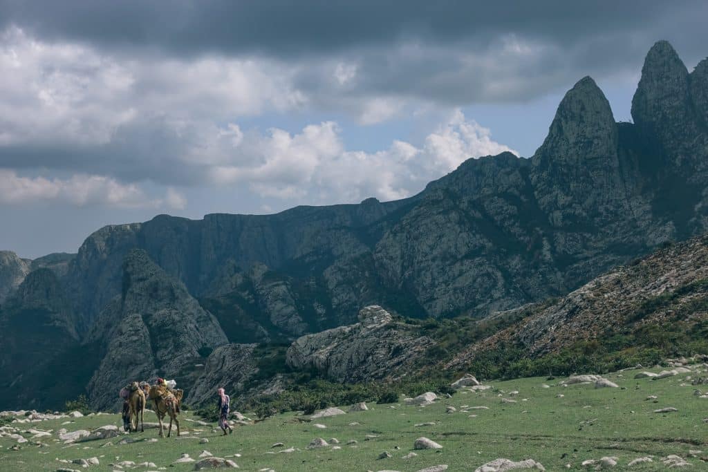 kamelentocht-socotra-bergen