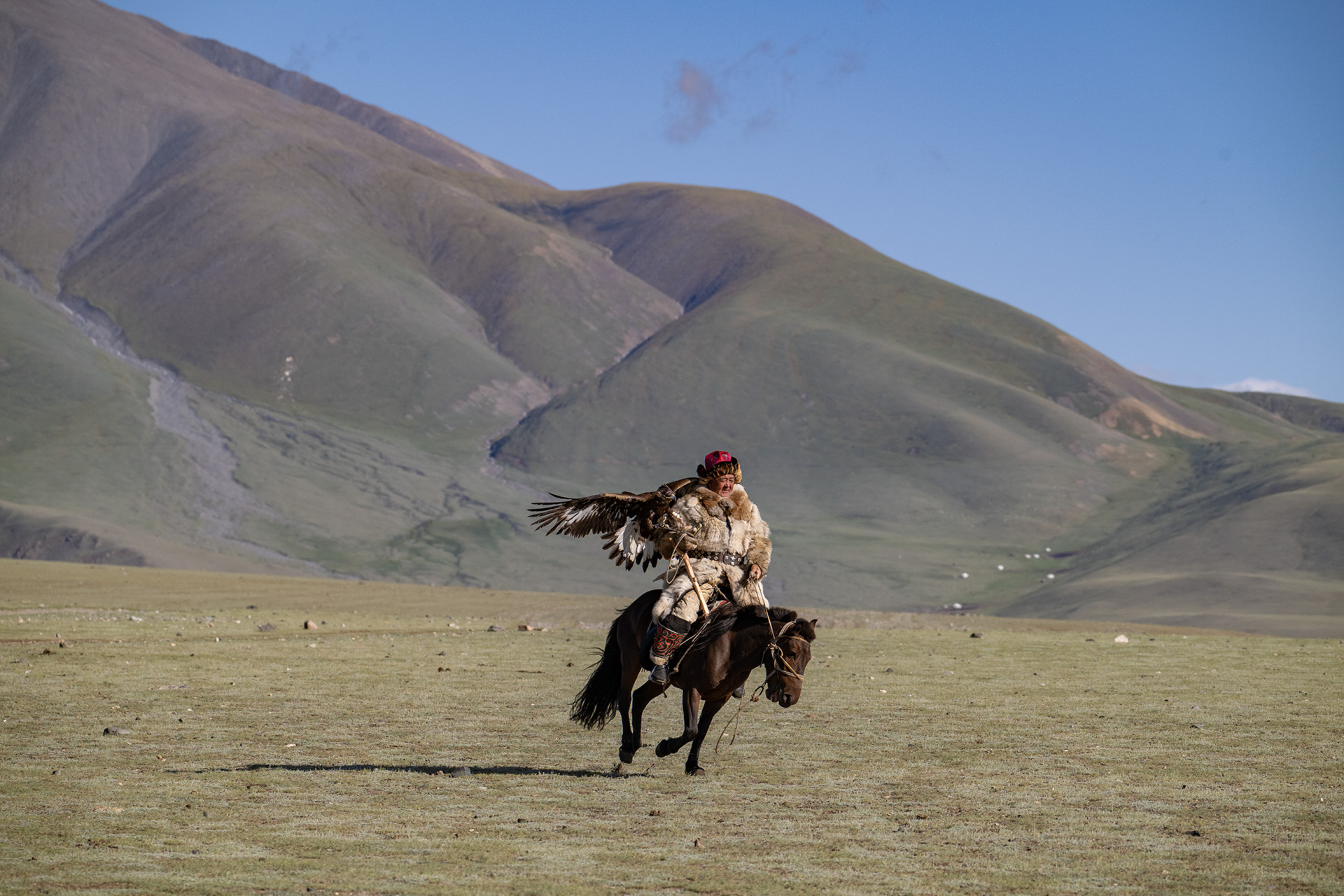 chamurat-eagle-hunter-in-actie-h-bothof