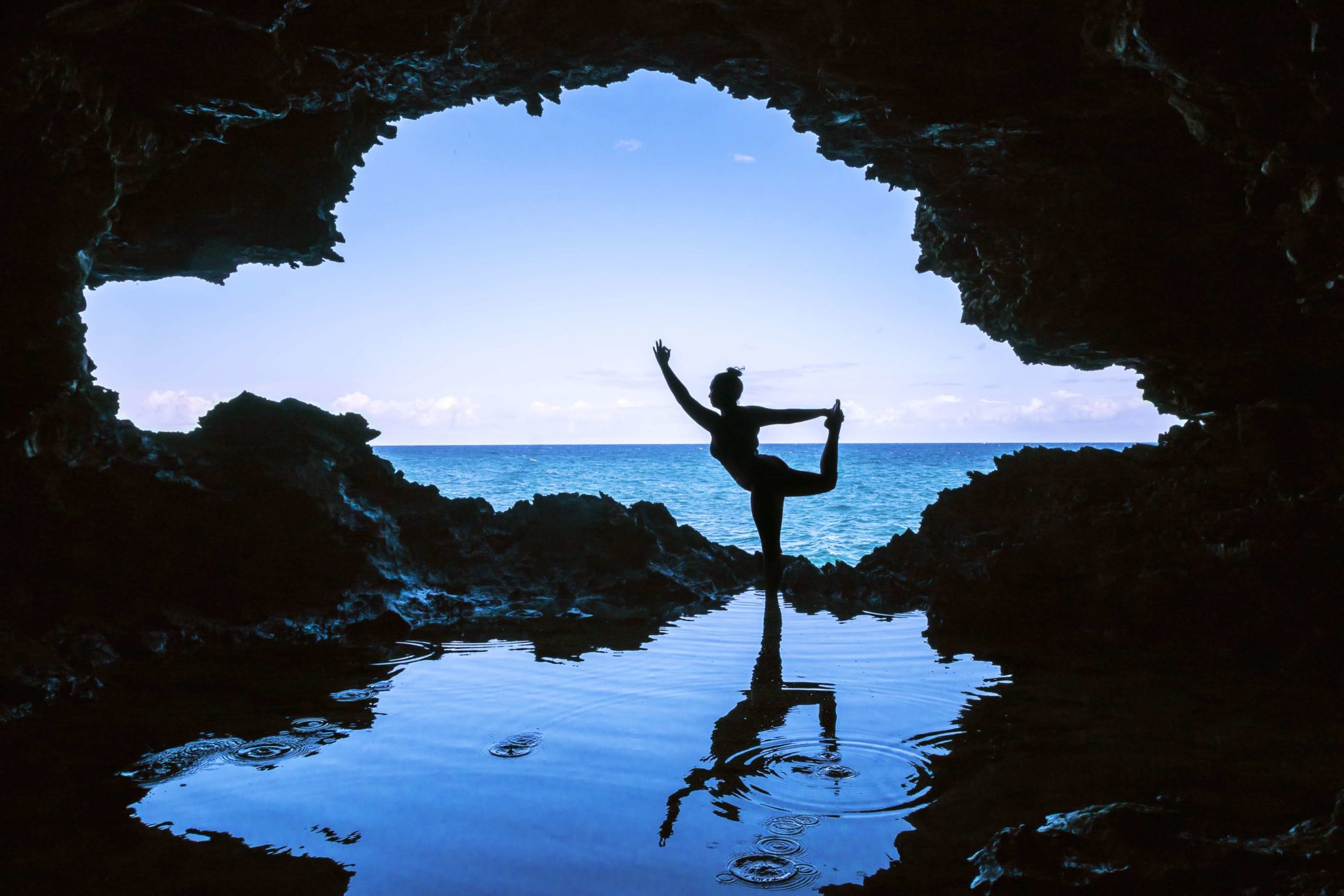 animal-flower-cave-barbados