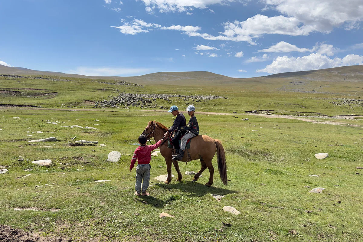 shireet-mongolie-paarden-h-bothof
