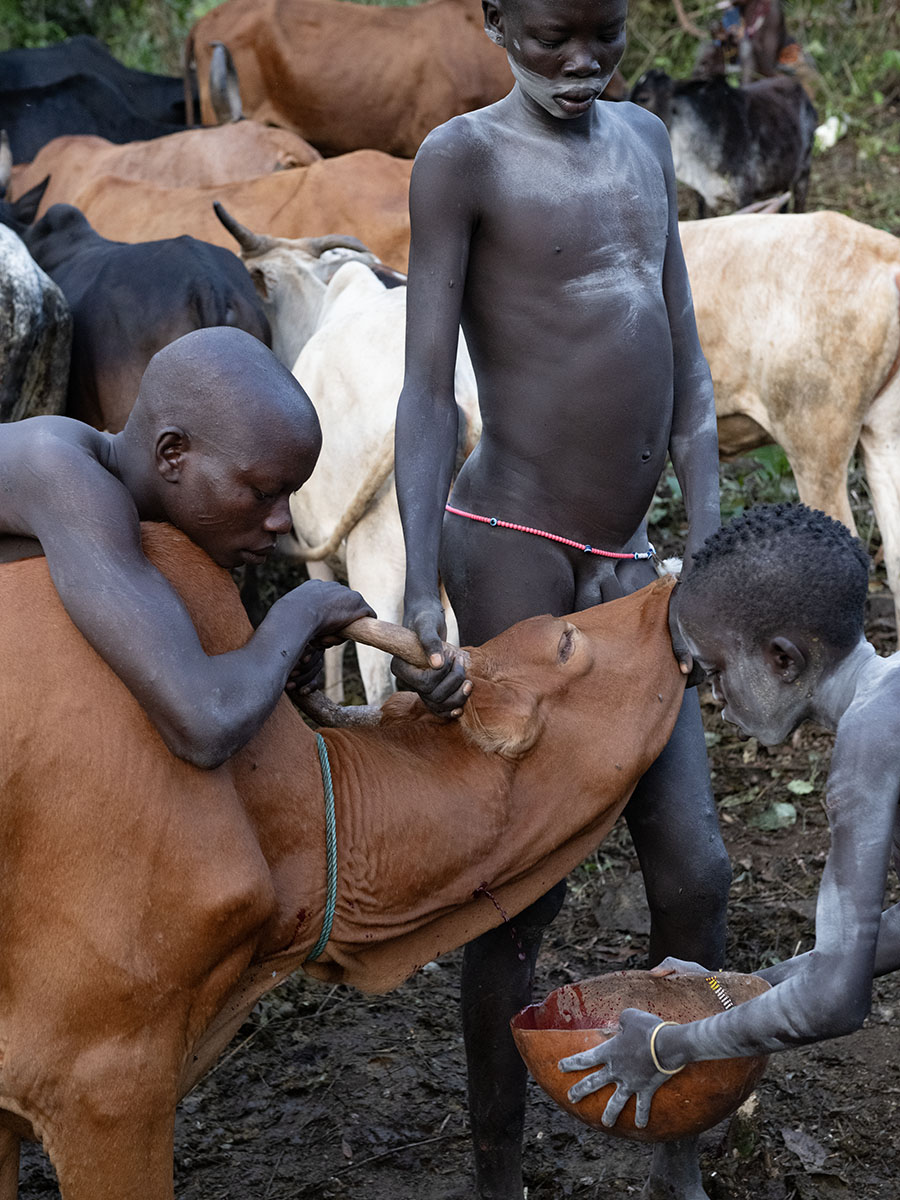 Suri-opvangen-bloed-calabas-koe-tribes-ethiopia-henk-bothof