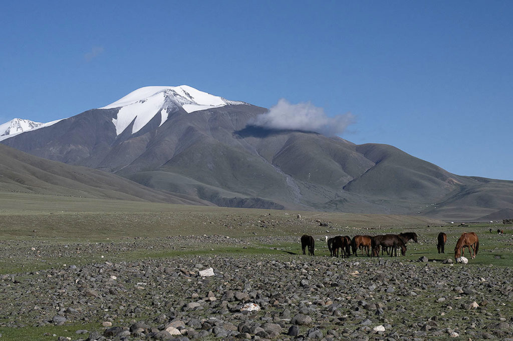 Tsambagarav-mongolie-henk-bothof