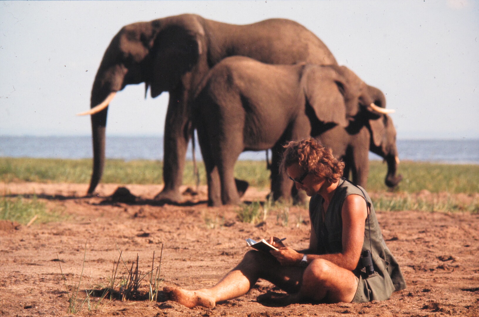 cover-life-among-elephants-film-ian-douglas-hamilton