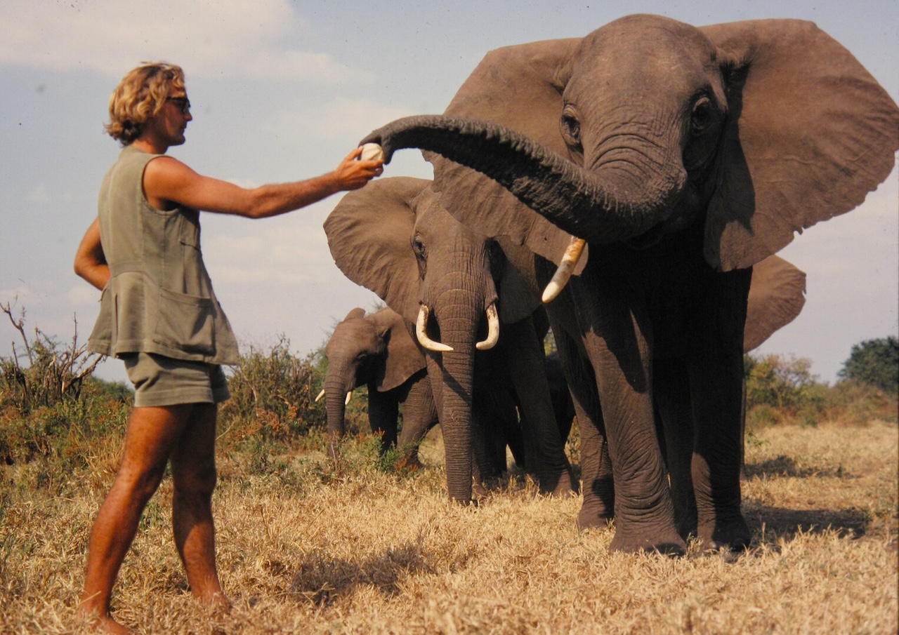 a-life-among-elephants-film-still-ian-douglas-hamilton