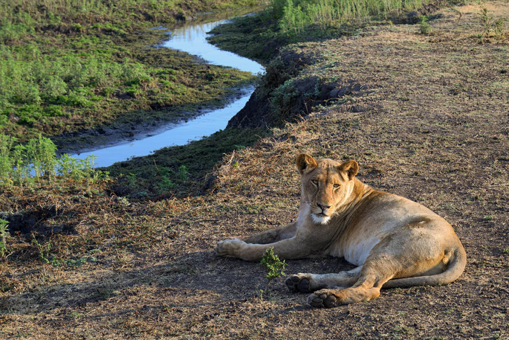 leeuwin-water-busanga-zam-kafue-henk-othof