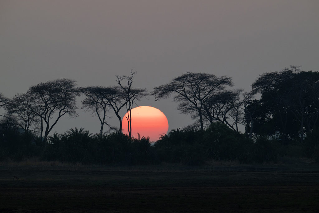 zonsondergang-busanga-zambia-henk-bothof