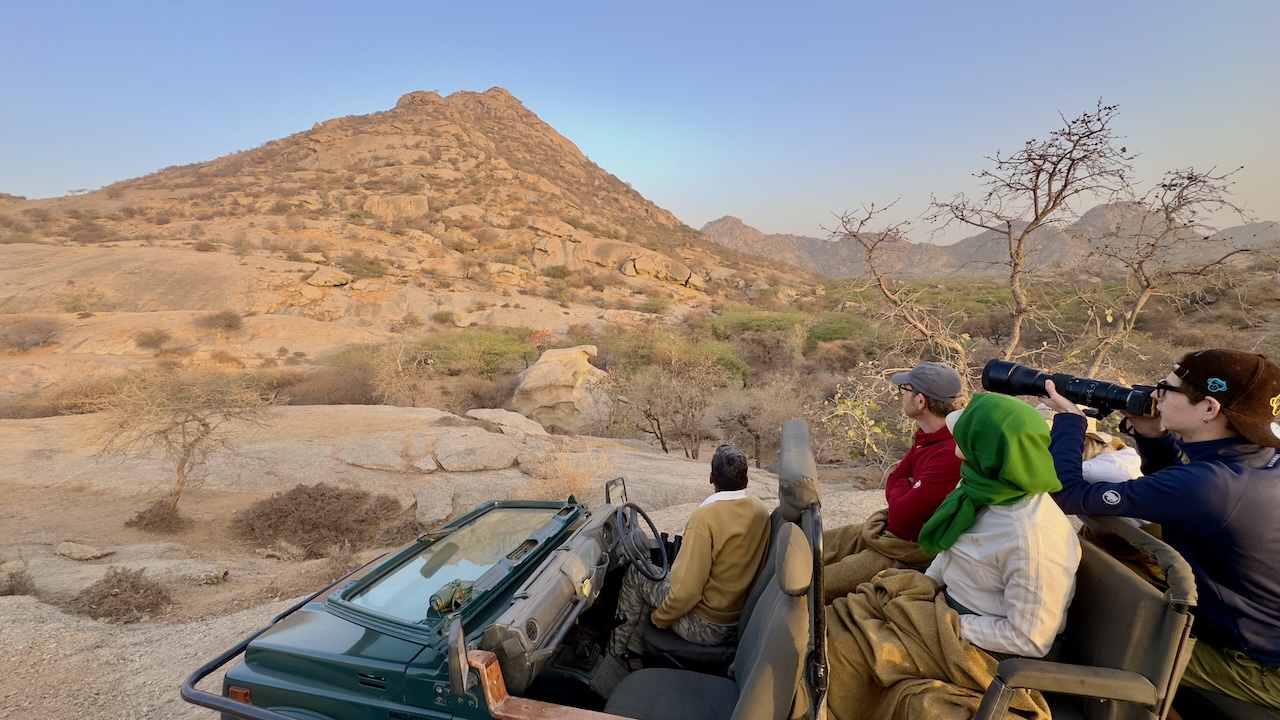 safari-bera-India