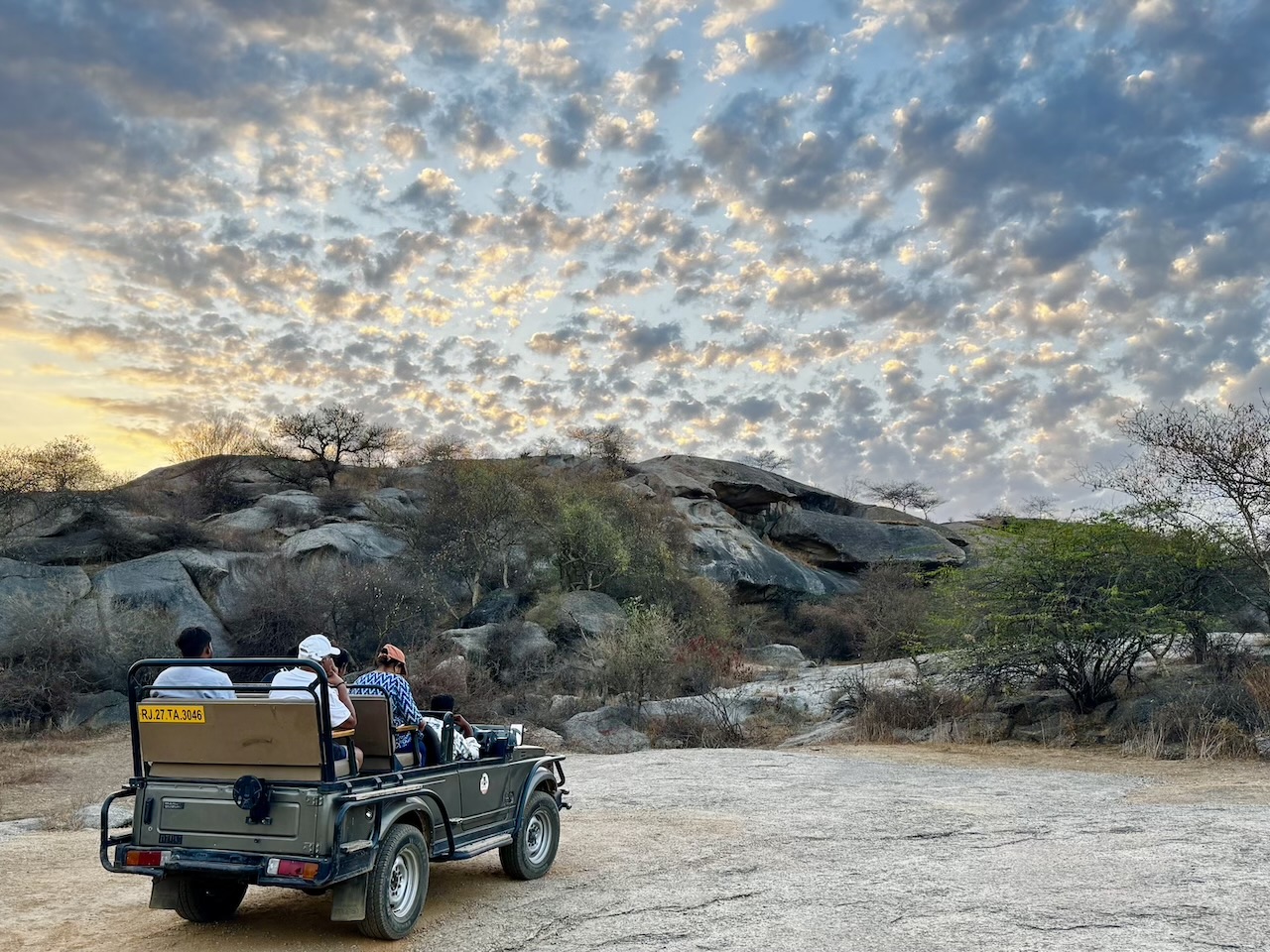 safari-bera-angelique-van-os