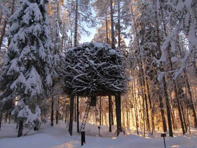 birdsnest-in-de-sneeuw-zweden
