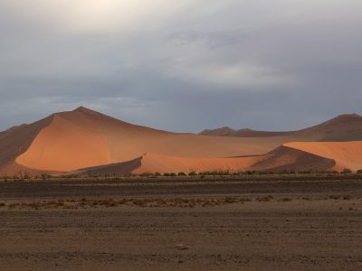 De eerste zonnestralen geven de duinen van Sossusvlei een prachtige oranje gloed.