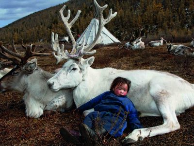 dark-heavens-hamid-sardar-mongolia-kid-reindeer