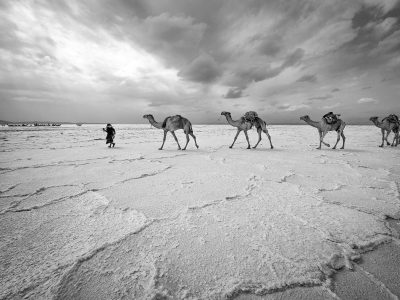 ethiopië-lake-asale-afar-zout-caravaan