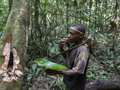 kameroen-baka-pygmee-honing